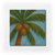 Coconuts